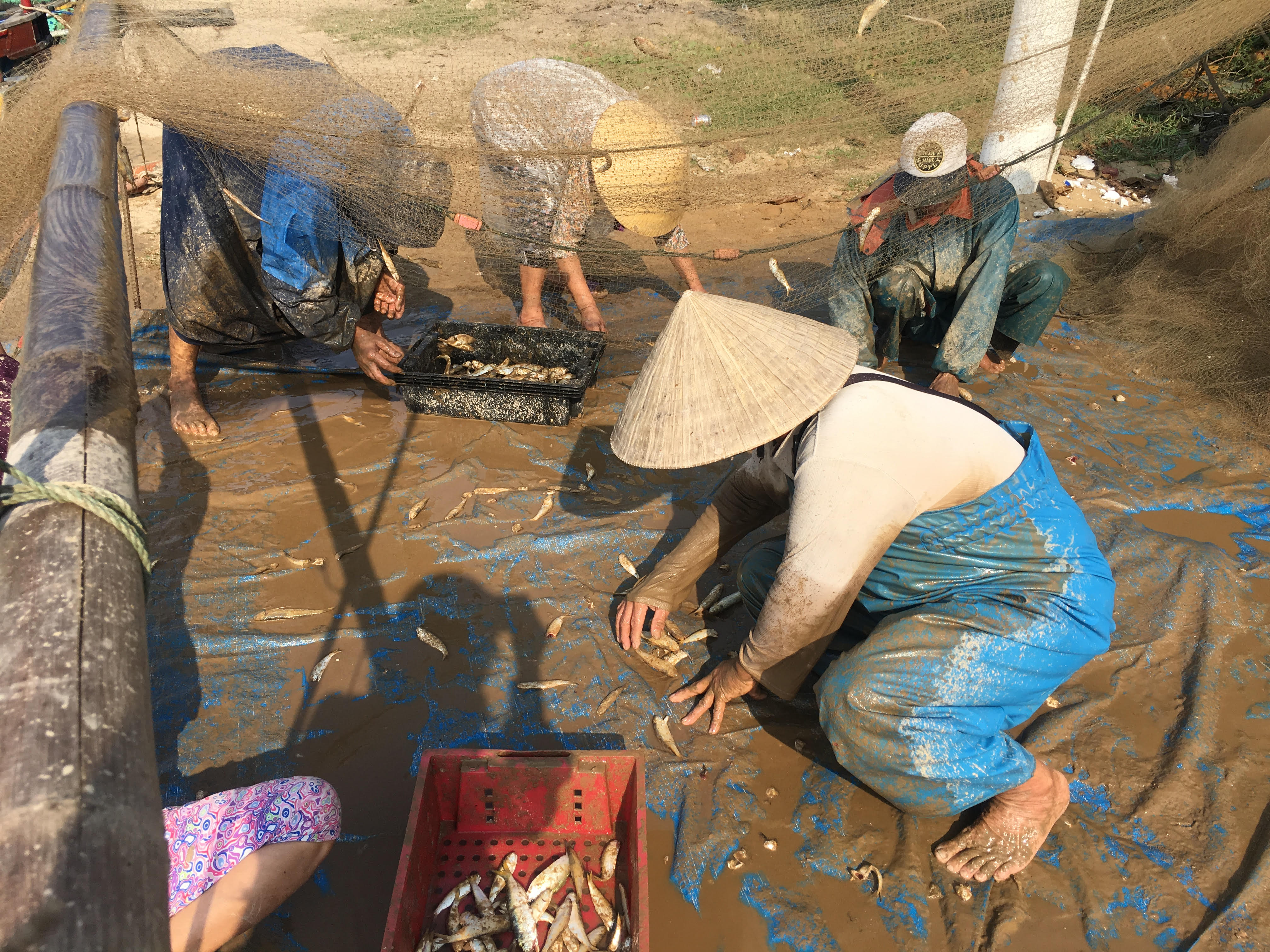 Xã Hải Ninh - "Điểm nóng" sinh con thứ 3