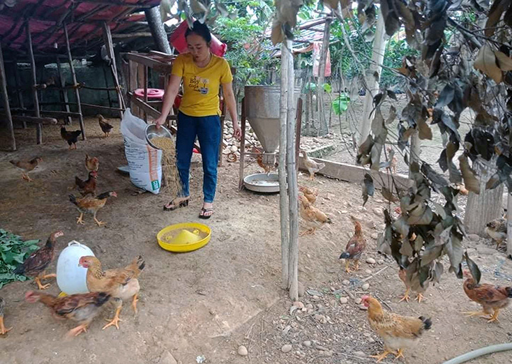 Quảng Trạch: Vốn vay giải quyết việc làm "tiếp sức" người nghèo