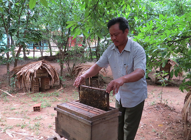 Phát triển thương hiệu mật ong Minh Hóa