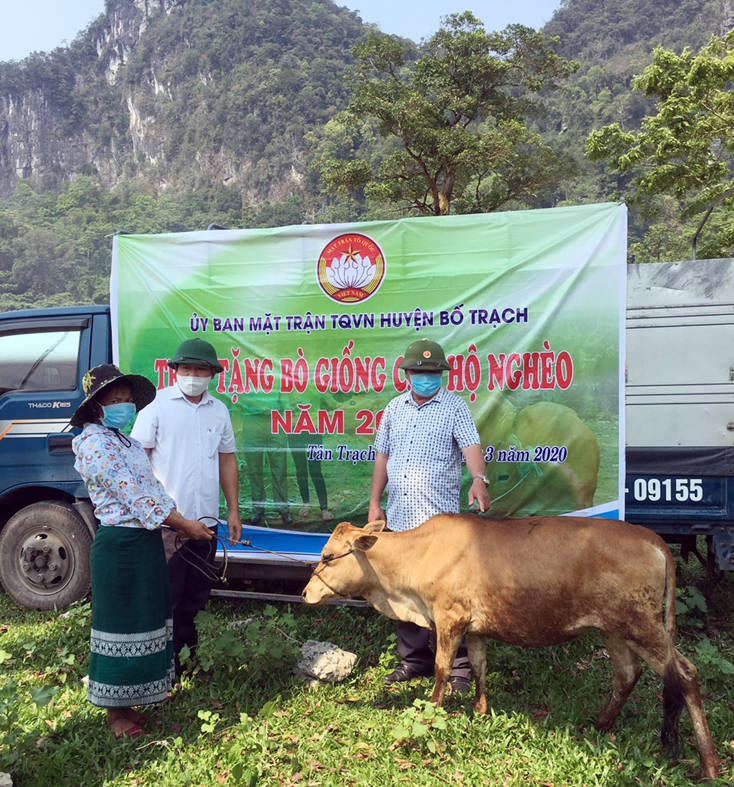 Trao bò giống cho các hộ nghèo của hai xã Tân Trạch, Thượng Trạch