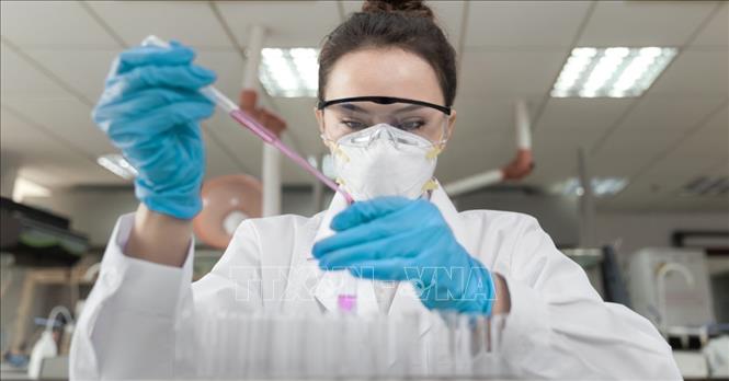 Nghiên cứu vaccine phòng virus SARS-CoV-2 trên chuột cho kết quả khả quan
