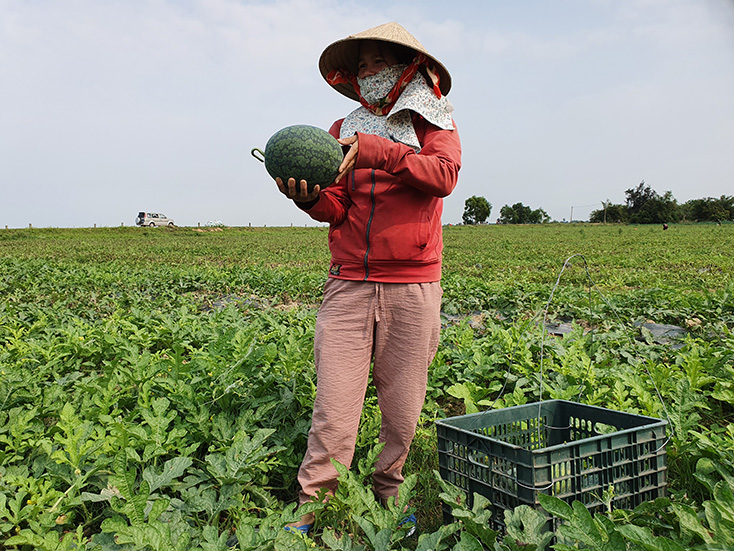 Xã Dương Thủy: Nhiều điểm sáng trong chuyển đổi cơ cấu cây trồng