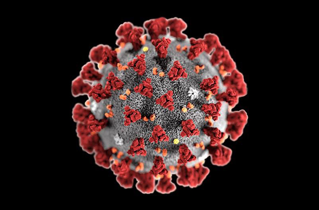 Cùng do virus Corona gây ra, COVID-19, SARS và MERS khác nhau thế nào?