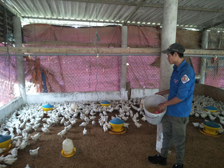 Vợ chồng khuyết tật vượt khó làm giàu