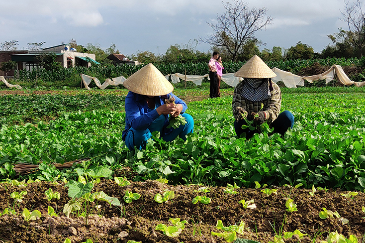 Phát huy vai trò lãnh đạo của Đảng trong xây dựng nông thôn mới