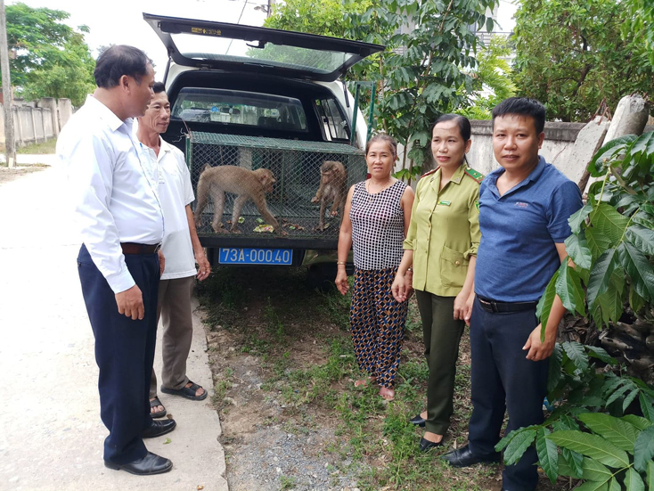 Chú trọng công tác quản lý, bảo tồn động vật hoang dã