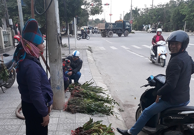 TP. Đồng Hới: Tăng cường chấn chỉnh, xử lý vi phạm trật tự đô thị