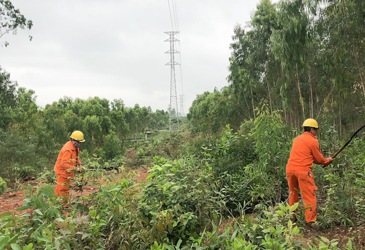 Chủ động ngăn ngừa sự cố lưới điện 110kV