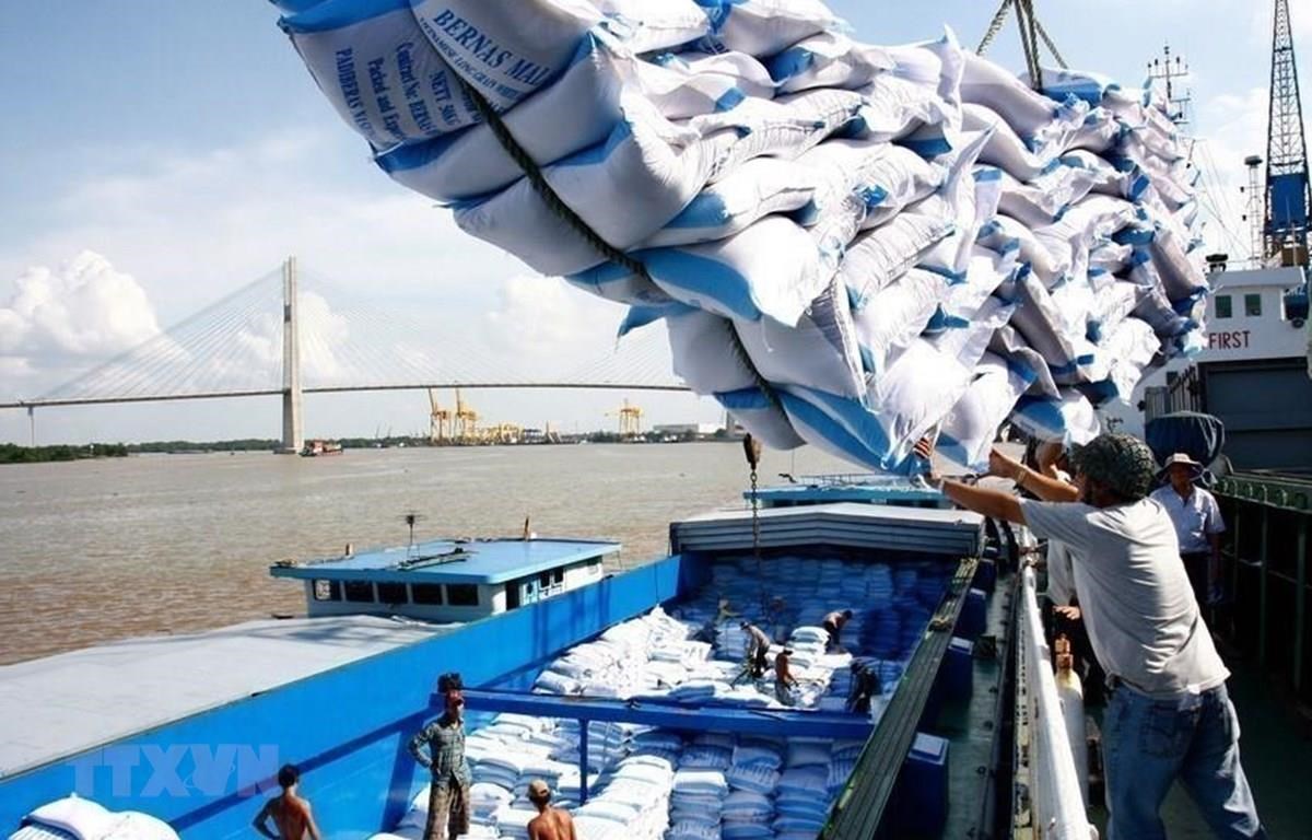 Đề nghị công an điều tra thông tin tiêu cực trong việc xuất khẩu gạo