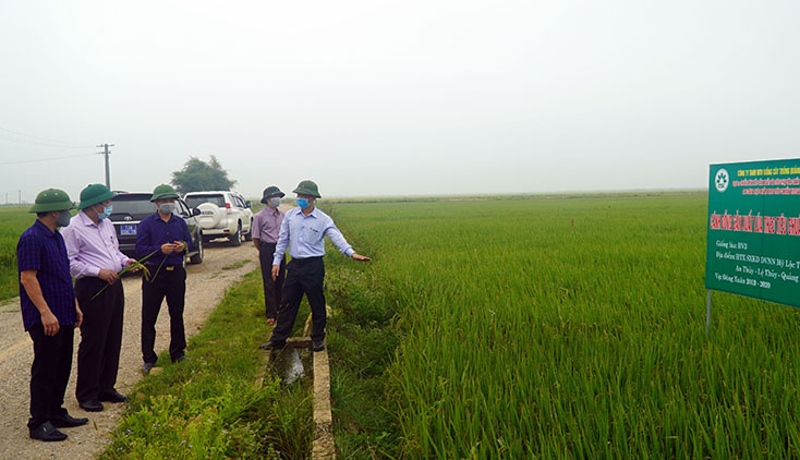Đồng chí Bí thư Tỉnh ủy kiểm tra sản xuất đông–xuân và công tác phòng, chống dịch Covid-19 tại Lệ Thủy