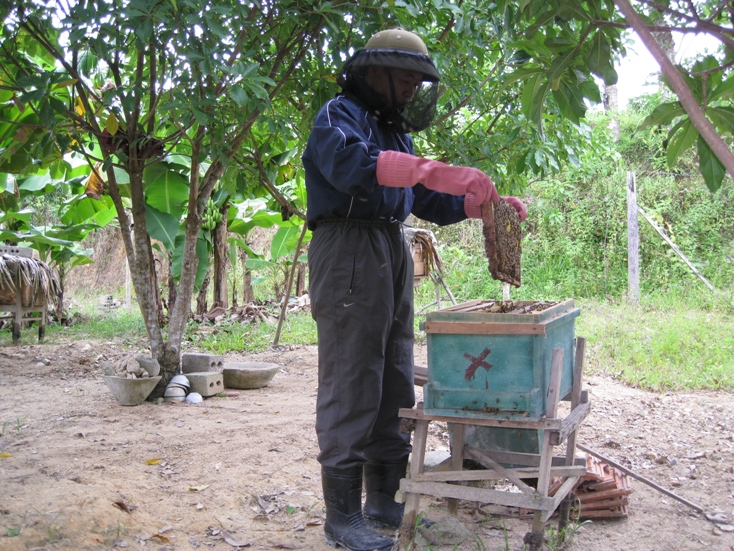 Đột phá Tuyên Hóa