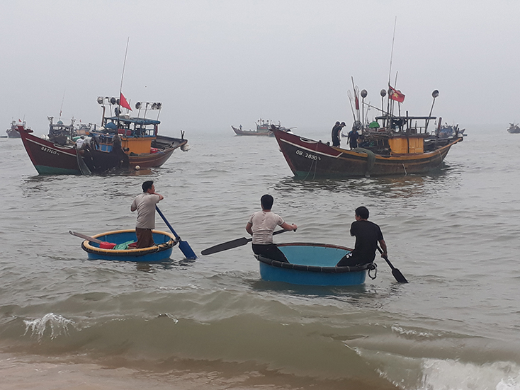 Giá xăng dầu giảm mạnh: Ngư dân tự tin vươn khơi...