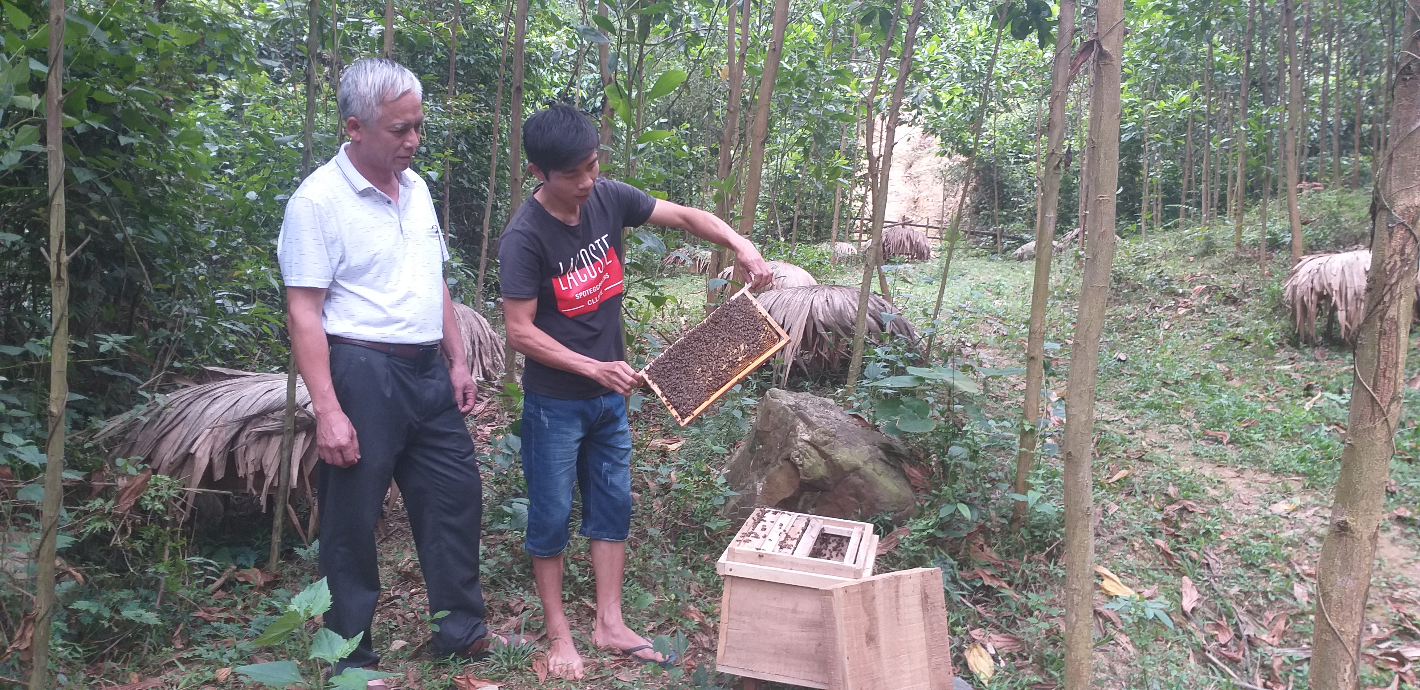 Khen thưởng tập thể, cá nhân đạt thành tích xuất sắc trong công tác giảm nghèo