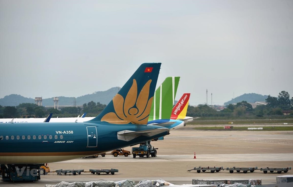 Các hãng hàng không được phân bổ tần suất đường bay nội địa ra sao?
