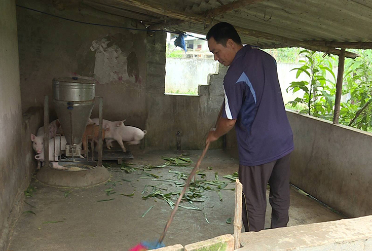 Quảng Trạch: Khuyến khích phát triển chăn nuôi theo chuỗi giá trị