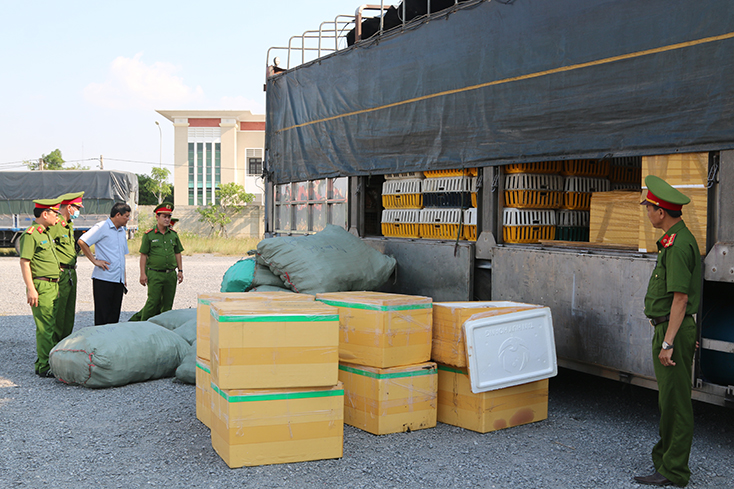 Bắt giữ ô tô chở hơn 700kg thịt chó, mèo đã bốc mùi hôi thối, không có nguồn gốc