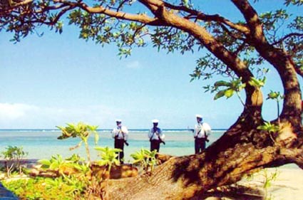 Cây phong ba Trường Sa