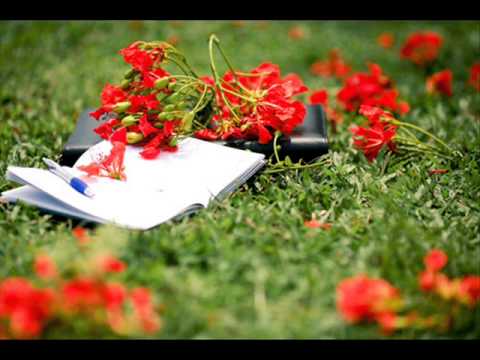 Hương đầu mùa