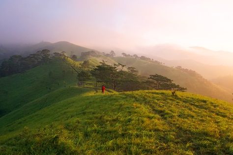 Nắng rải trên đồi