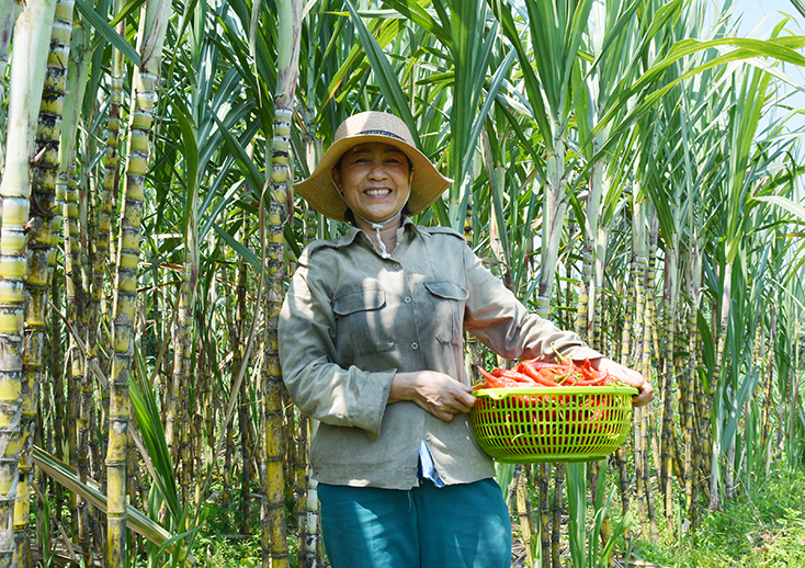 "Được lòng dân, thì việc gì cũng làm được…"