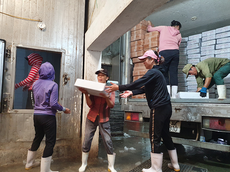 Cơ hội nào cho ngành thủy sản sau dịch bệnh Covid-19?