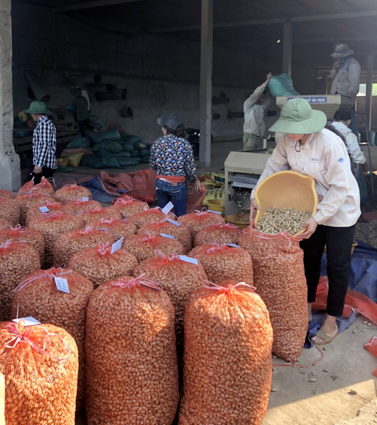 Thu nhập bình quân khu vực nông thôn Quảng Bình đạt 31,3 triệu đồng/người/năm