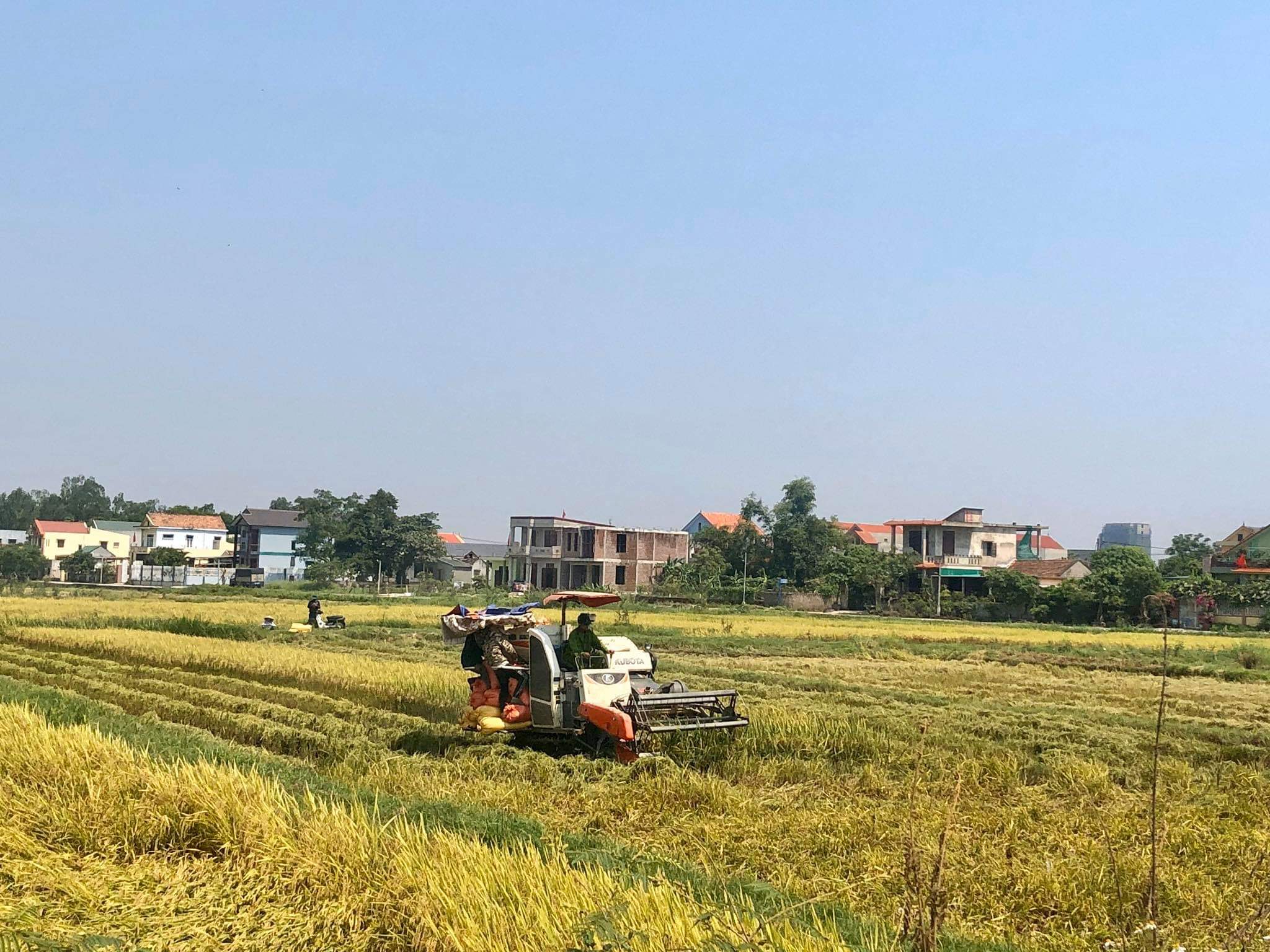 Đẩy mạnh sản xuất nông nghiệp thích ứng với biến đổi khí hậu