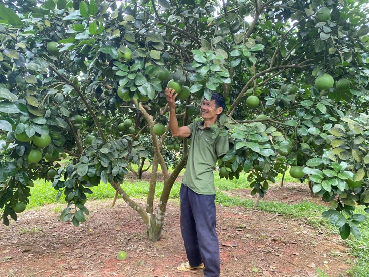 Người khuyết tật vươn lên làm kinh tế giỏi