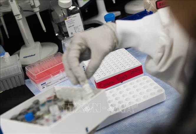Triển vọng điều chế vaccine ngừa COVID-19 vẫn mù mờ