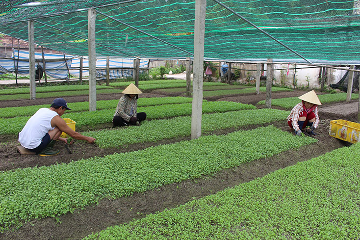 Phục hồi kinh tế hậu Covid-19: Kịch bản nào tối ưu?
