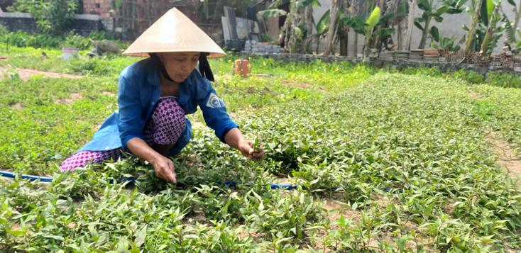 Đa dạng giải pháp hỗ trợ người dân giảm nghèo bền vững