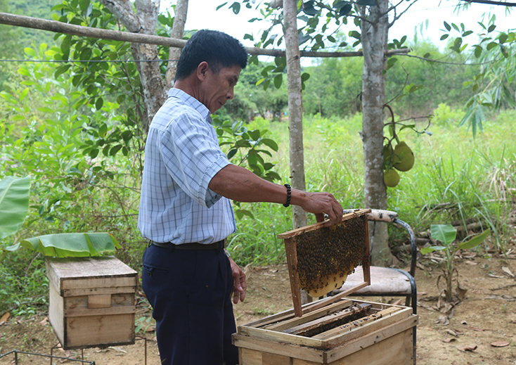 OCOP nâng tầm nông sản Quảng Ninh - Bài 1: Những kết quả bước đầu
