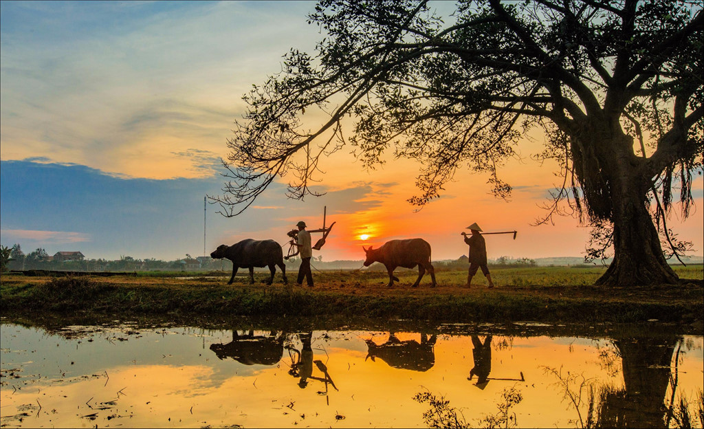 Với làng