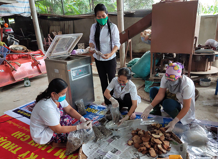 OCOP nâng tầm nông sản Quảng Ninh-Bài 2: Nâng cao chất lượng chương trình OCOP