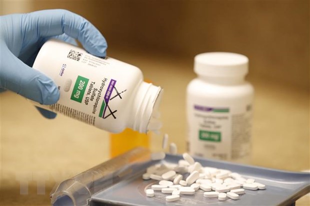 EU thu thập dữ liệu về sử dụng thuốc chữa sốt rét để điều trị COVID-19
