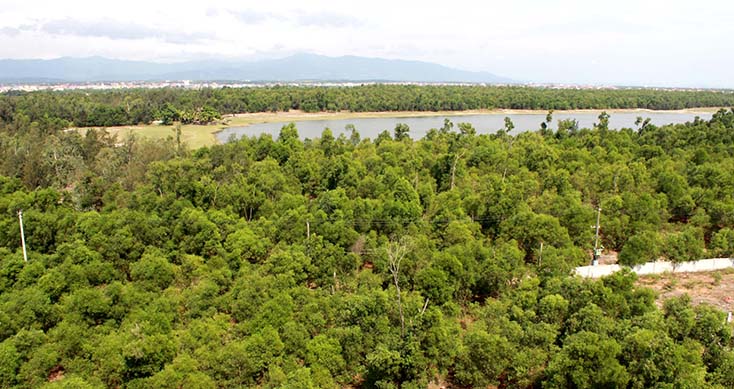 Tour khám phá các di chỉ ở TP. Đồng Hới, tại sao không?