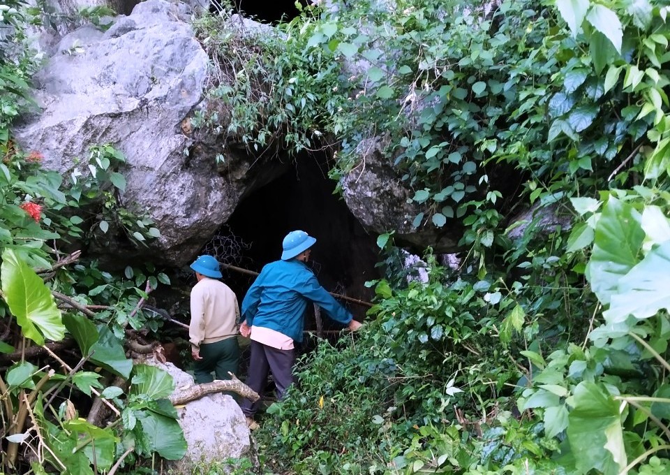 Hang Minh Cầm - nơi lưu giữ nhiều giá trị văn hóa, lịch sử