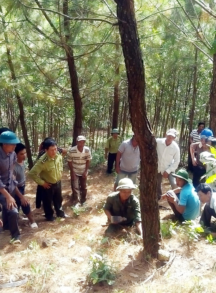 Giữ rừng trước nguy cơ "giặc lửa"