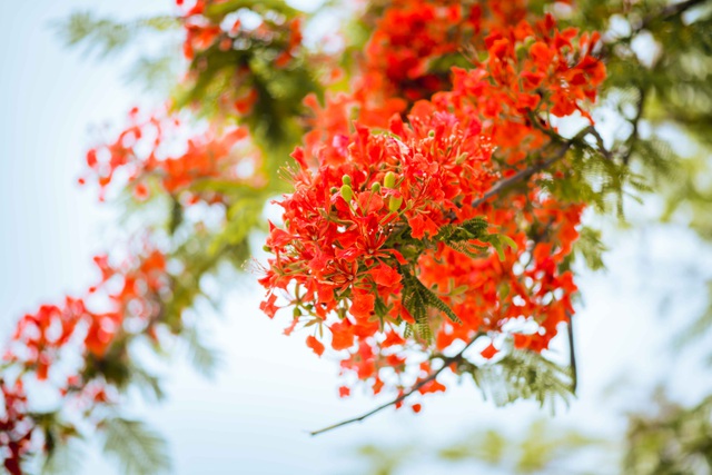 Gọi mãi yêu thương