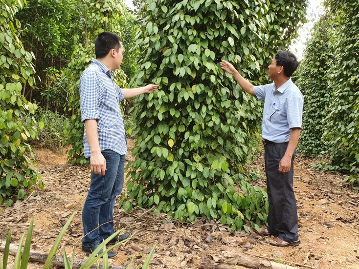 Sôi nổi các phong trào thi đua yêu nước