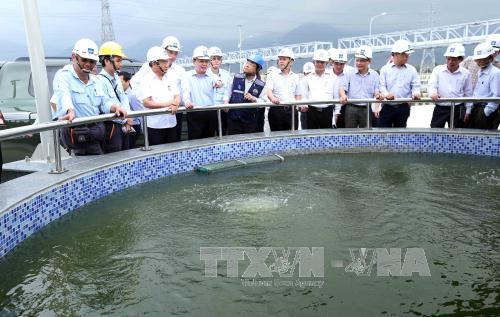 Không cần thông báo khi thanh tra đột xuất về bảo vệ môi trường