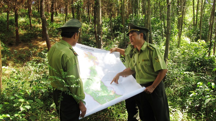 Xây dựng Đảng bộ trong sạch vững mạnh, thực hiện tốt công tác quản lý, bảo vệ và phát triển rừng