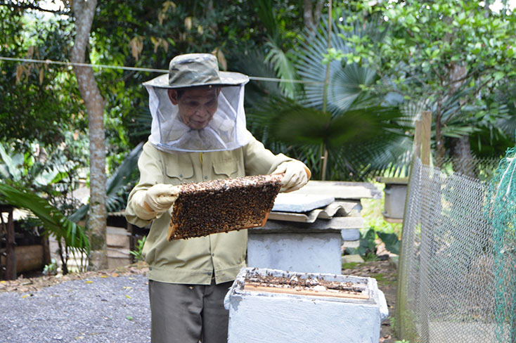 Nông dân Minh Hóa được mùa mật ong