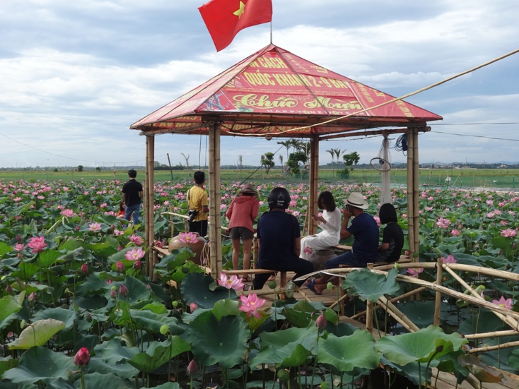 Chuyện từ đầm sen