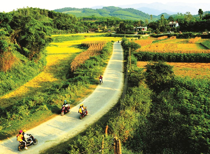 Bình yên một miền quê
