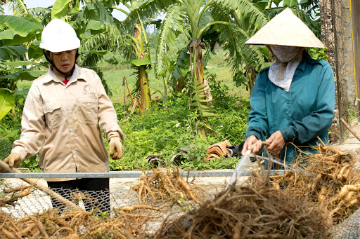 Để sản phẩm công nghiệp nông thôn tiêu biểu vươn xa