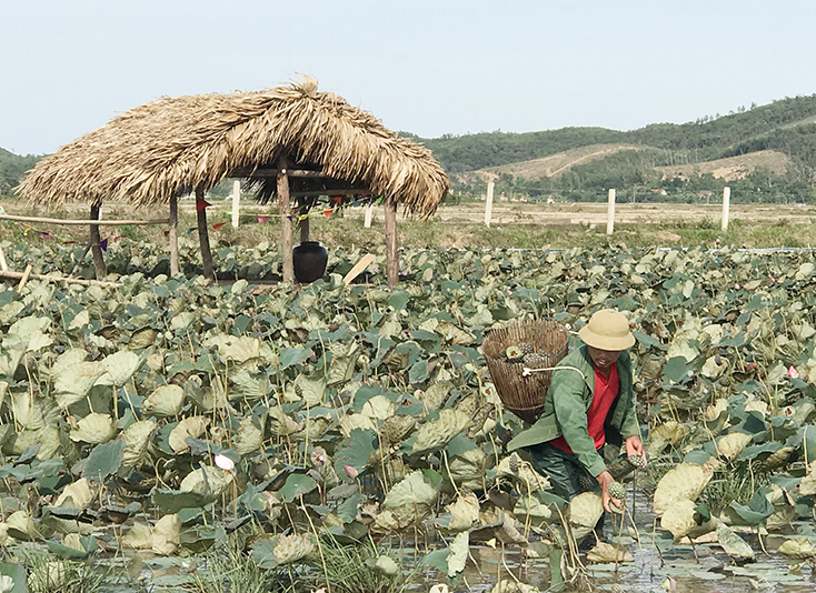 Thực hiện các biện pháp kích cầu phục hồi du lịch, dịch vụ