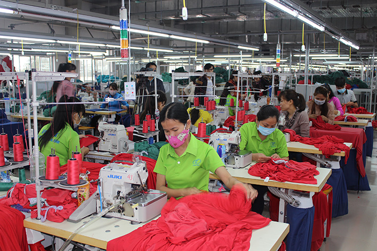 Gia hạn nộp thuế và tiền thuê đất: Vì sao người nộp thuế thờ ơ?