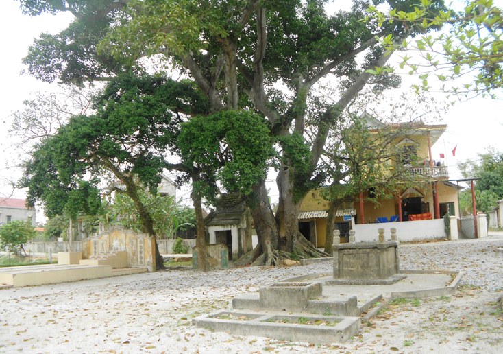 Gìn giữ giếng làng
