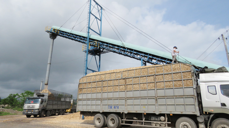 Toàn tỉnh thành lập mới 308 doanh nghiệp